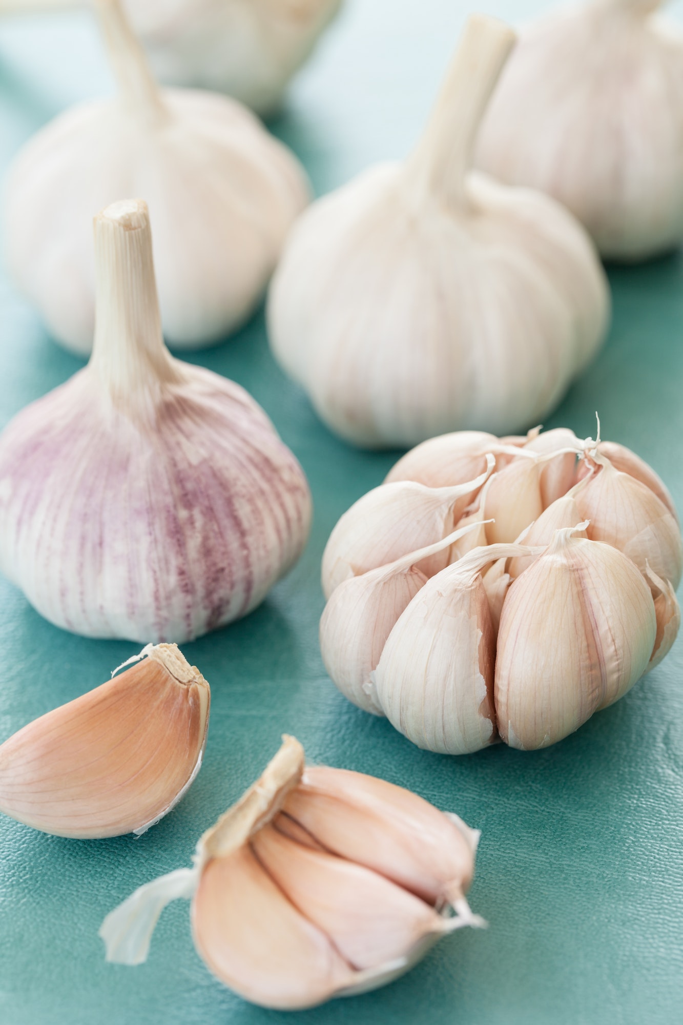Fresh garlic